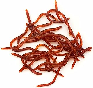 FishBait Soft Plastic Fishing Worms 20pcs/Pack, Lifelike Artificial Bait for Freshwater & Saltwater, Red Color, Reusable Fishing Lures for Bass, Trout, Crappie, 3.1" with Storage Box