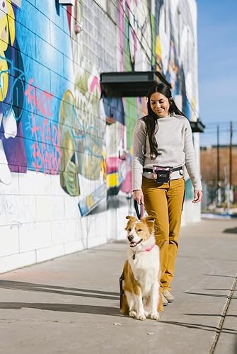 Miniatura 2 de OllyDog Bolsa de golosinas para perros, clip para cinturón de cintura para entrenamiento manos libres, cierre magnético, entrenamiento de perros y