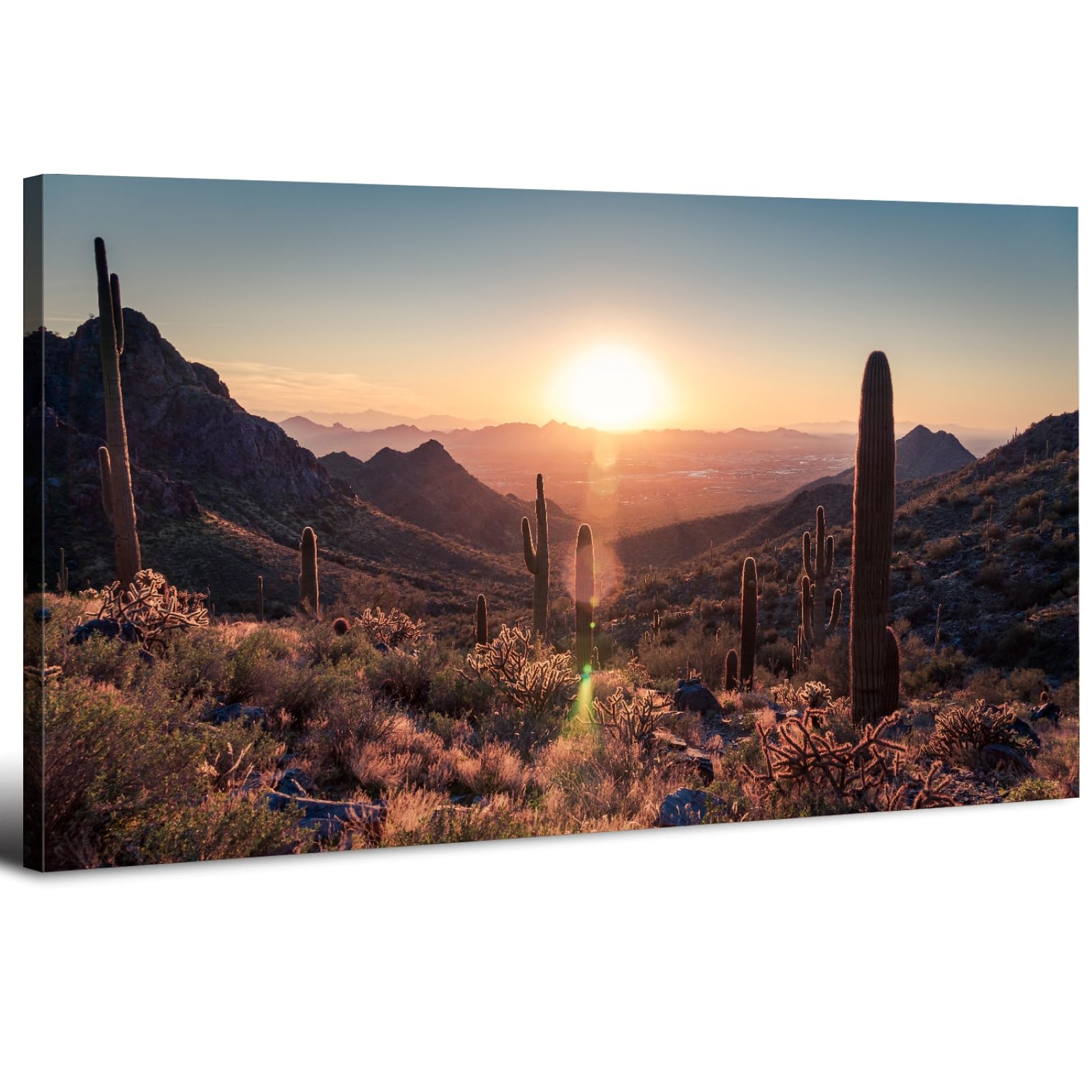 AIYISU Sonoran Sunset Canvas Print