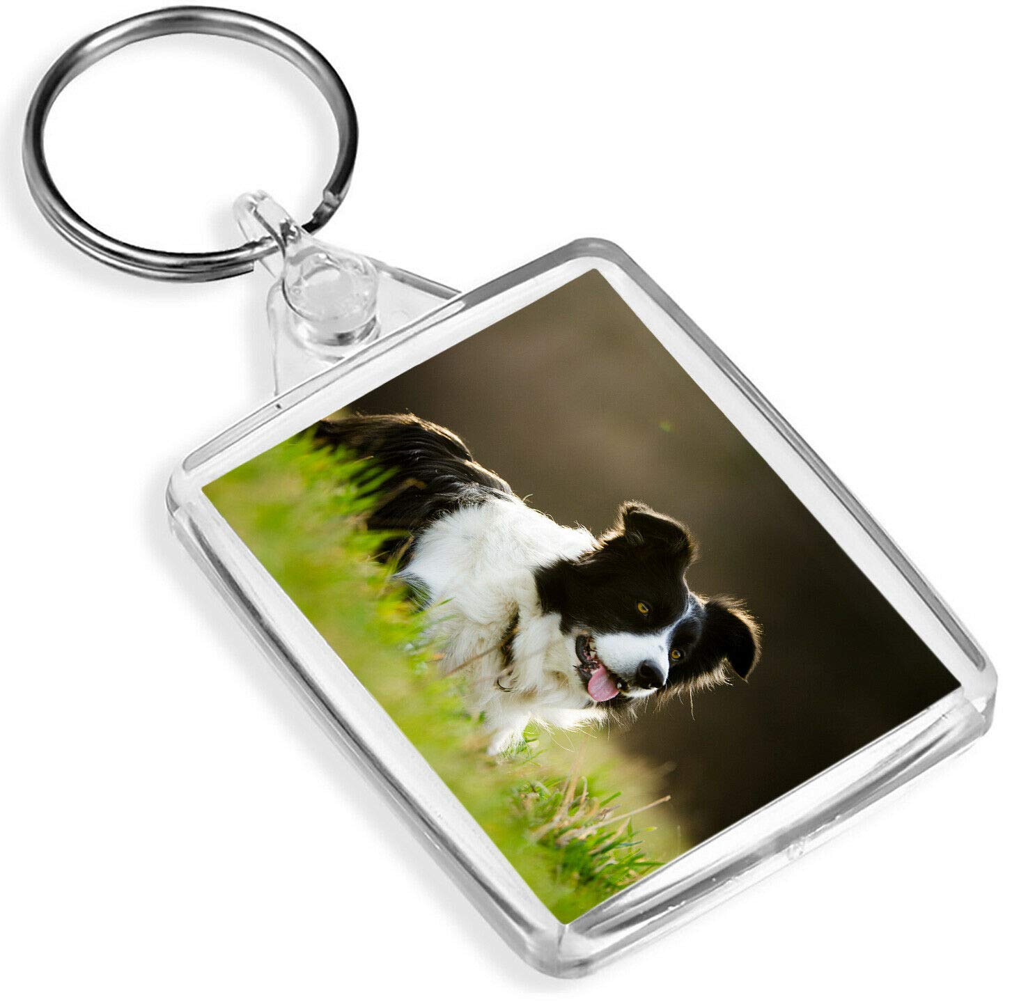 Destination Vinyl Keyrings Playful Border Collie Keyring - IP02 - Sheep Dog Farm Farmer Puppy #8614