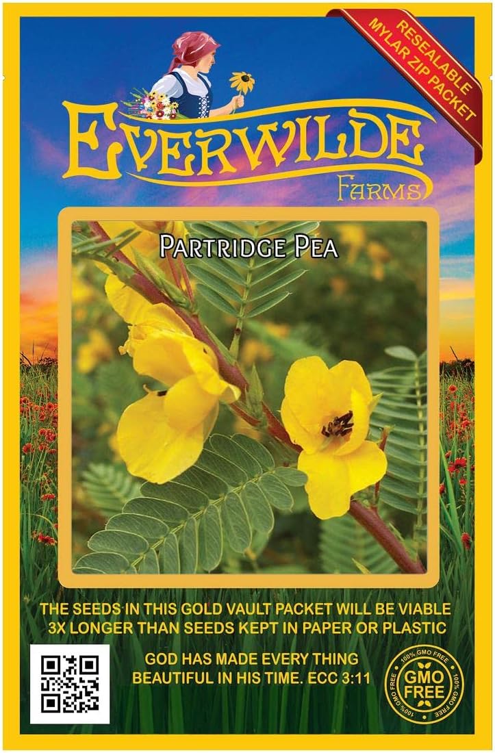 Everwilde Farms - 1 Lb Partridge Pea Native Wildflower Seeds - Gold Vault
