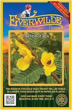 Everwilde Farms - 300 Partridge Pea Native Wildflower Seeds - Gold Vault Jumbo Seed Packet