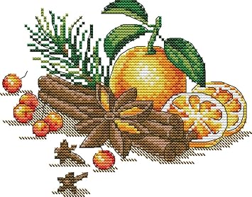 Awesocrafts Cross Stitch Stamp Kit Orange Berry and Spice Easy Pattern Cross Stitch Embroidery Needlework Kit Supplies