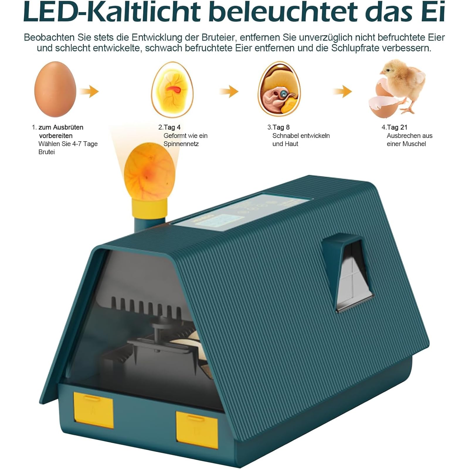 Incubatrice completamente automatica, incubatrice automatica per uova di design per piccole case, incubatrice per 10 uova, con illuminazione a LED e controllo della temperatura e dell'umidità