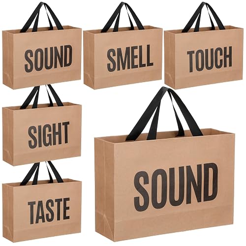 Kolldenn 5 Senses Gift Bags for Him Her, Valentine Five