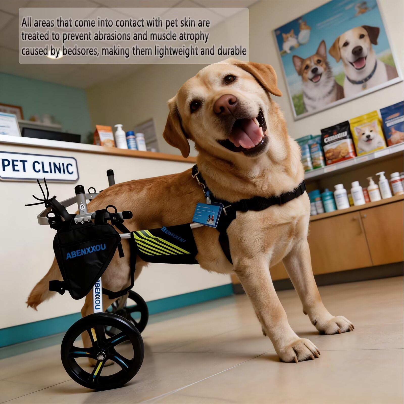 Fauteuil Roulant pour Chien de Taille Moyenne et Grande, Fauteuil Roulant réglable sur Les Pattes arrière pour, pour la rééducation des Pattes arrière