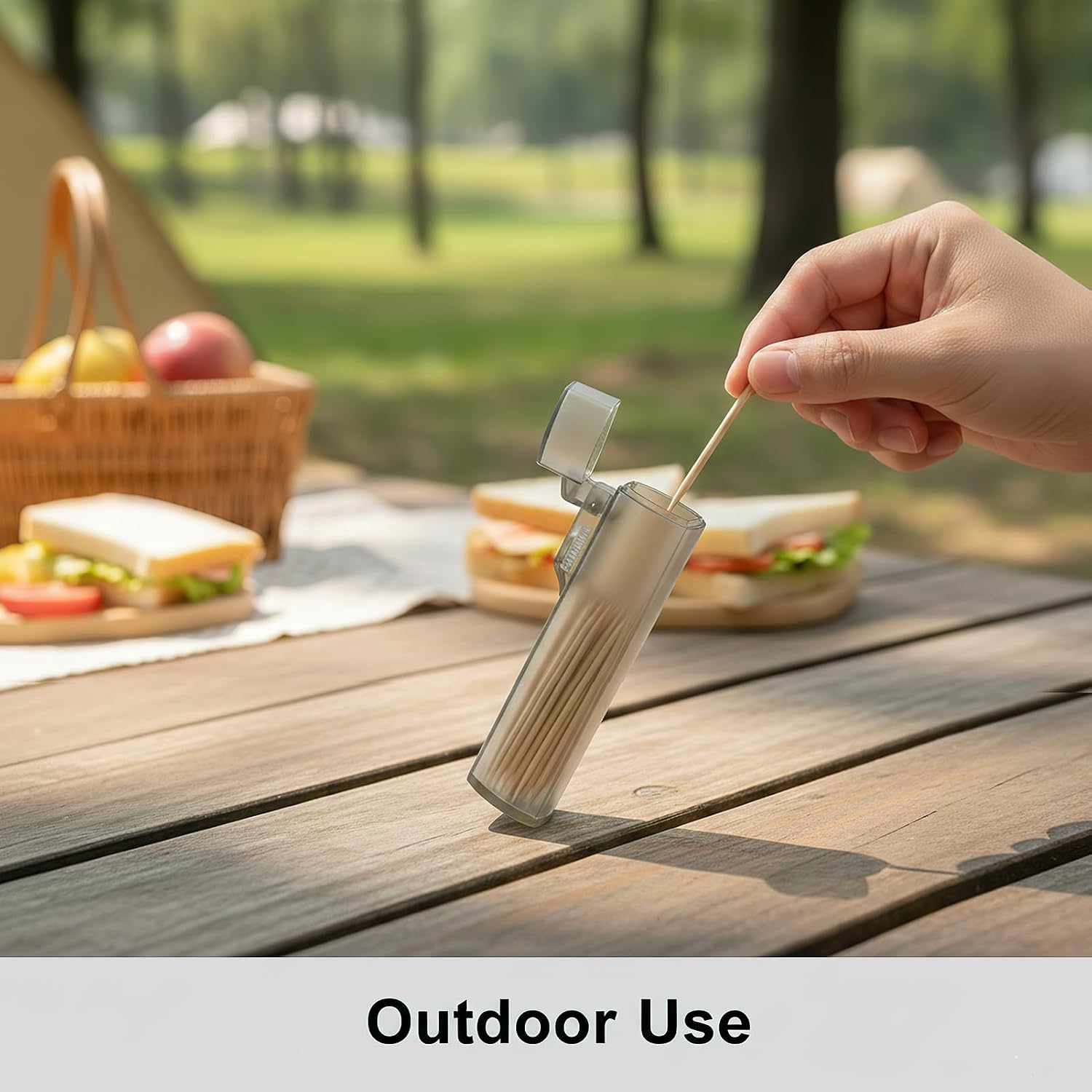 6-Piece Pocket Toothpick Holder Dispenser Travel Clear Gray Plastic image 5
