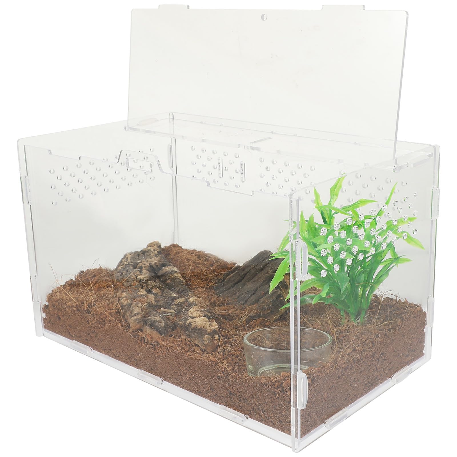 Gatuida Terrario Adeguata Circolazione d'Aria per Acrilico Rettili in Acrilico e Resistente agli Urti per Gechi e Serpenti