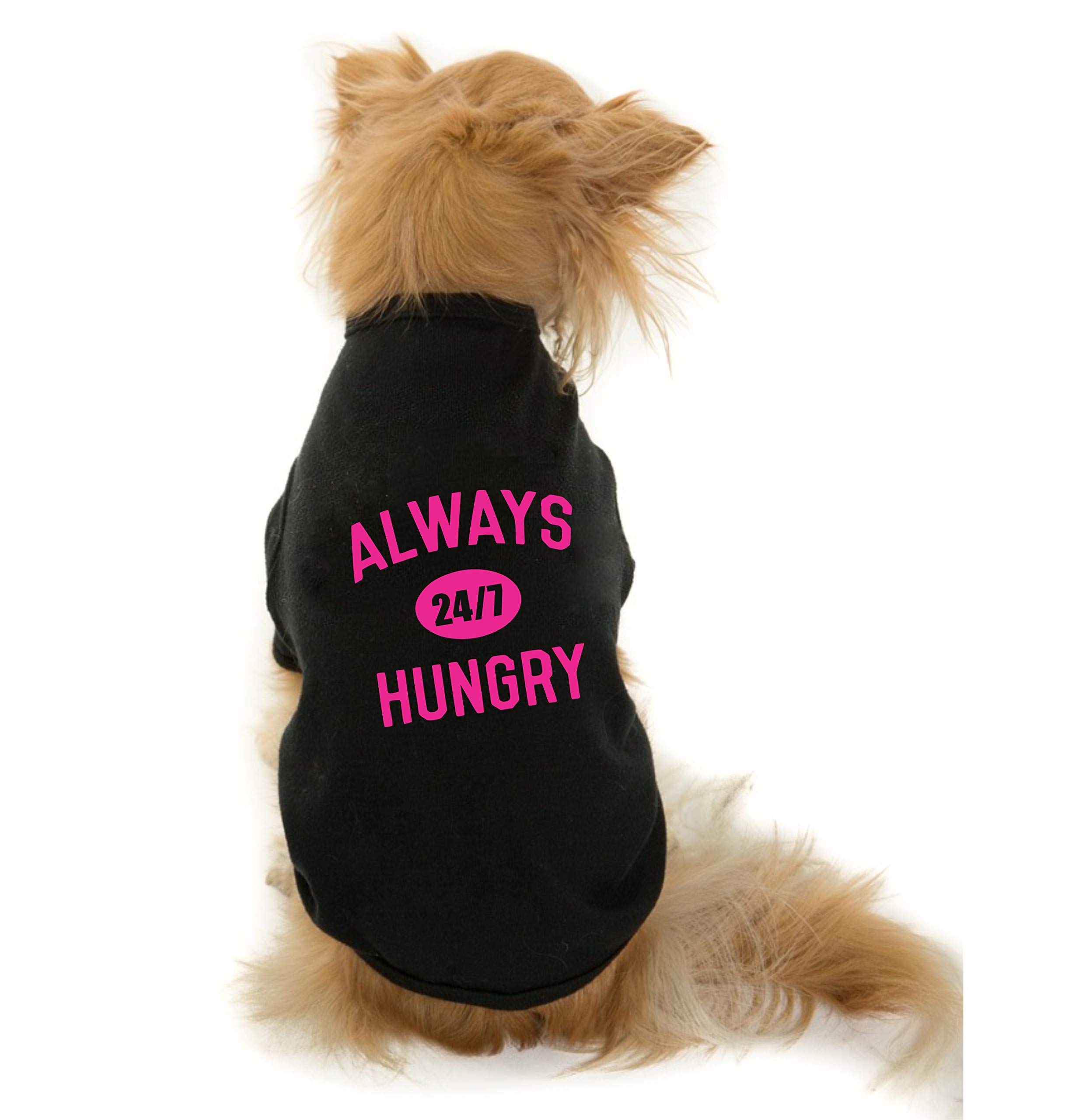 The Tee Shop Pet Clothing Collection Cool Funny Quote Printed Always Hungry on Pet Dog Cat Comfortable T-Shirt(Black_XS) (B08R8V17YH) Amazon Price History, Amazon Price Tracker