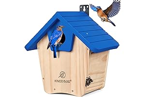 Kingsyard Bluebird House: A Haven for Azure Songbirds