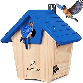 Amazon.com: Kingsyard Blue Bird House for Outside - Cedar