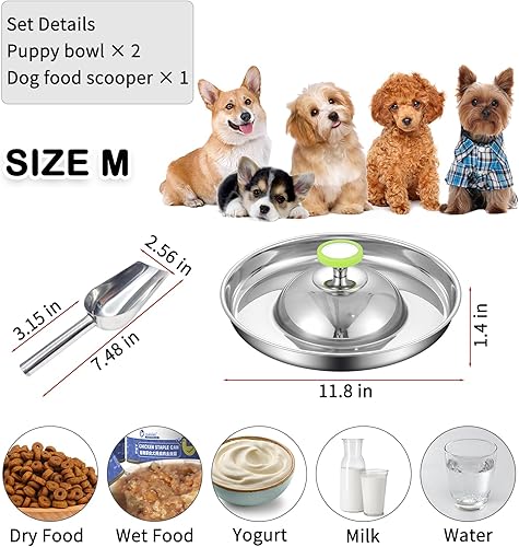 Miniatura 9 de Fhiny Paquete de 2 cuencos de acero inoxidable para cachorros, plato de alimentación para destete de mascotas con cuchara para camadas, mascotas,