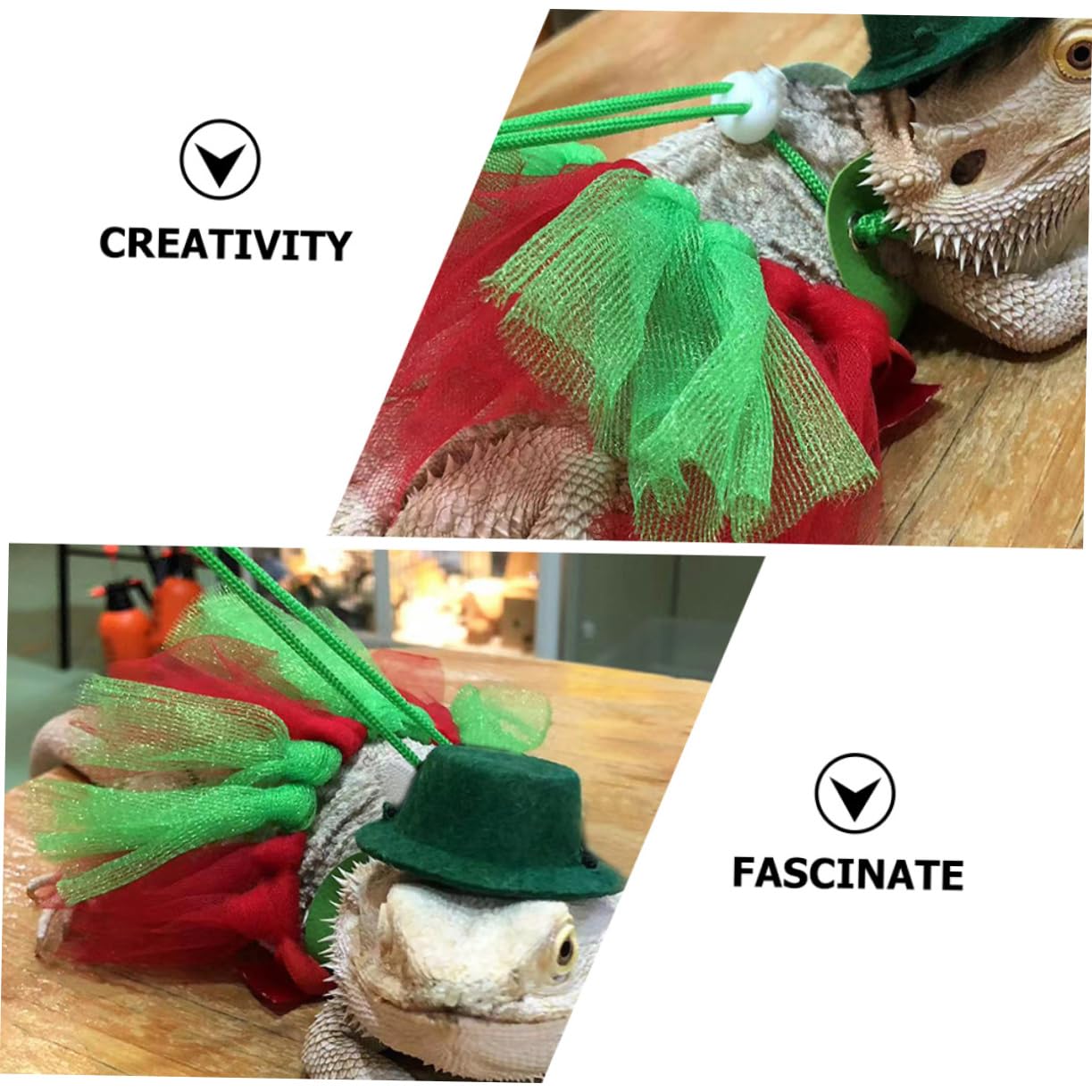 INOOMP 5sets Guinzaglio Regolabile Per Rettili Kit Traction Per Lucertole e Draghi Accessori Per Estive e Festive