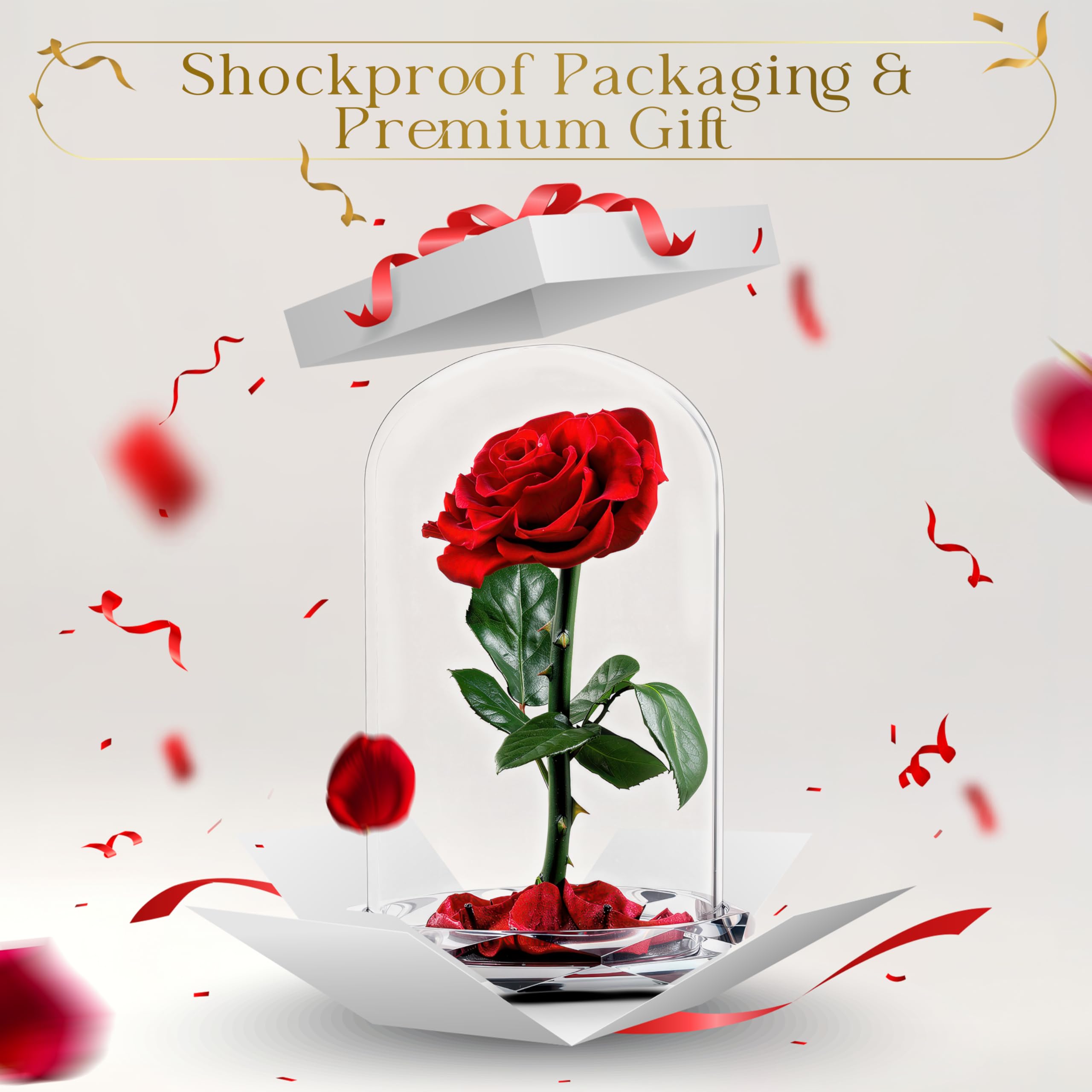 INTIGNIS Vera Rosa Conservata in Cupola di Vetro, Rosa Stabilizzata 25 cm con Fiore 8 cm, Durata Fino a 5 Anni, Base Decorativa, Idea Regalo Elegante per Lei, (Rossa)