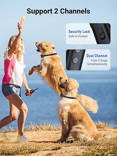 Miniatura 6 de Collar de choque para perros con control remoto, collar de entrenamiento recargable para perros, collar de descarga eléctrica para perros de 60 a