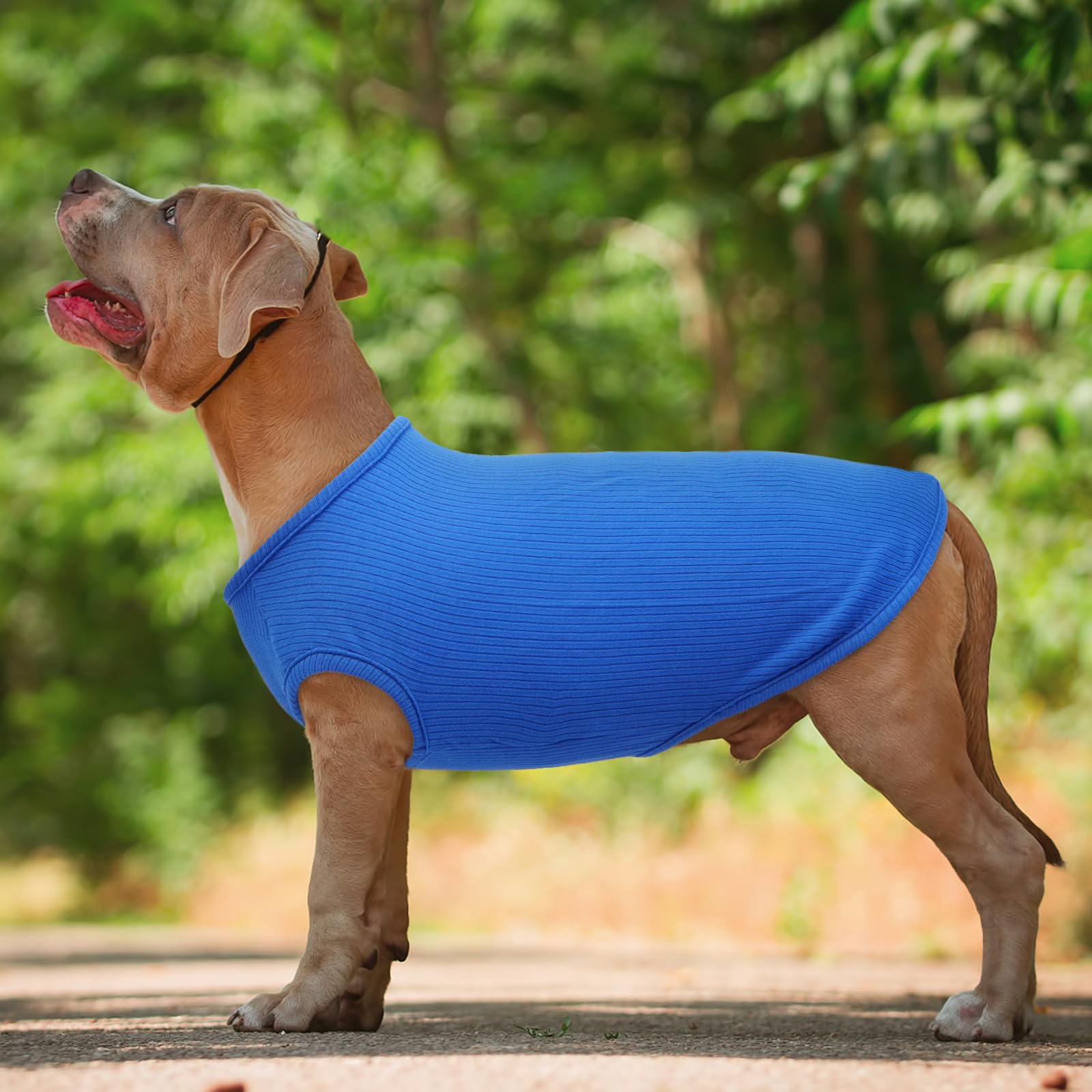 Maglietta Cane - Magliette per Cani Sottile Maglione Estiva Cane Taglia Piccola Maglia per Cani, Maglioncino a Righe Maglia Elastico (Blu zaffiro XXS)