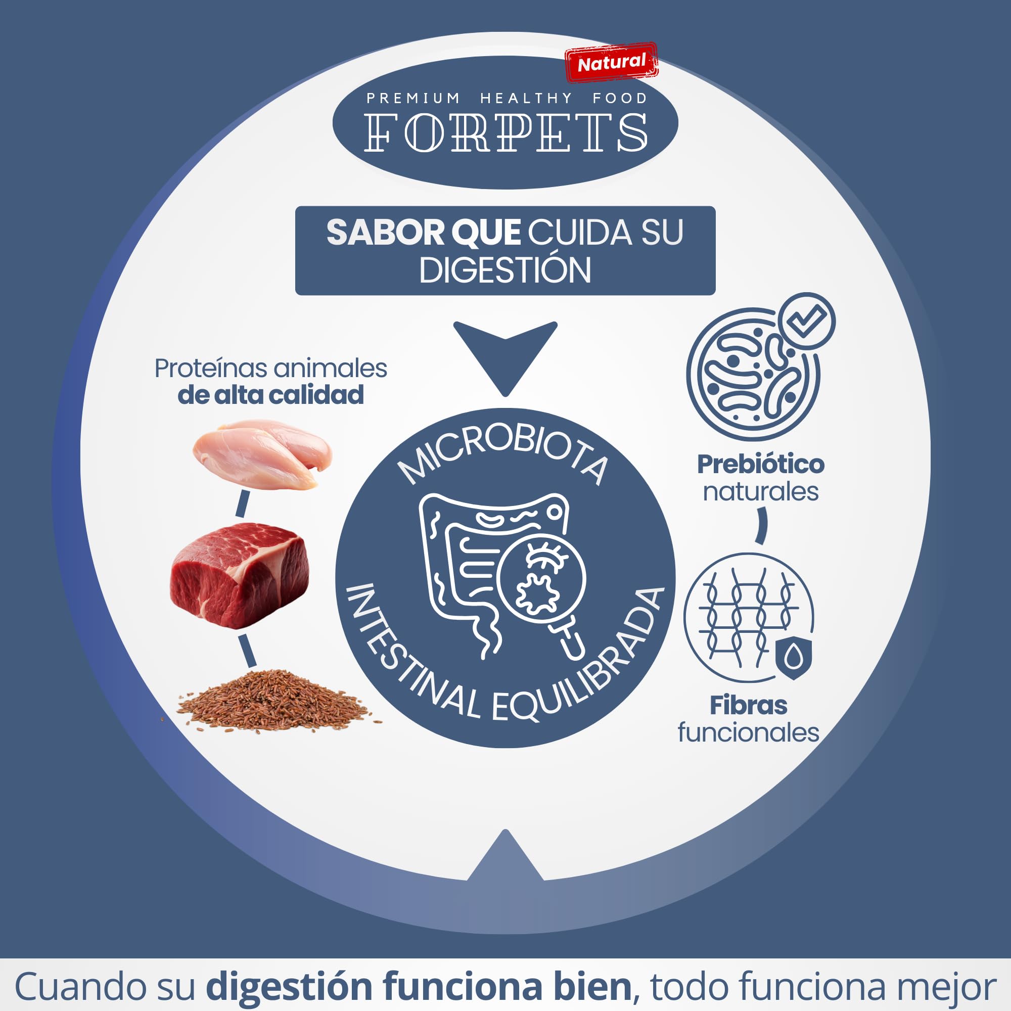 Pienso para Gatos Adultos con Pollo y Salmón | Salud Urinaria, Pelo Brillante y Digestión Sensible | Sin Gluten | Razas Pequeñas y Medianas | FORPETS Cats (15 kg + 16 latas 100g selección de Campo)