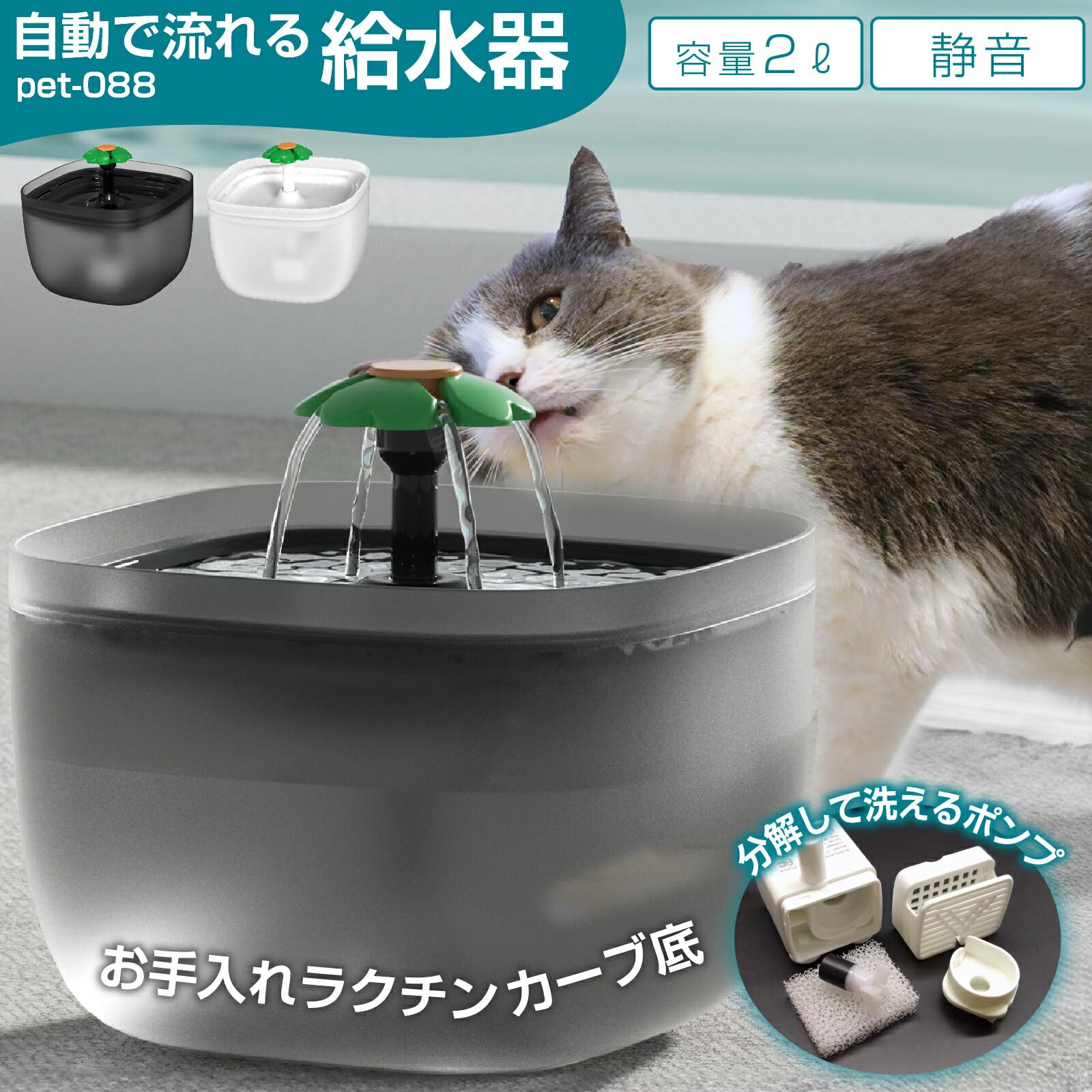 ペット自動給餌器　新品 Amazon | [イツワペット] POKOPO 自動給餌器 自動餌やり器 餌やり機猫