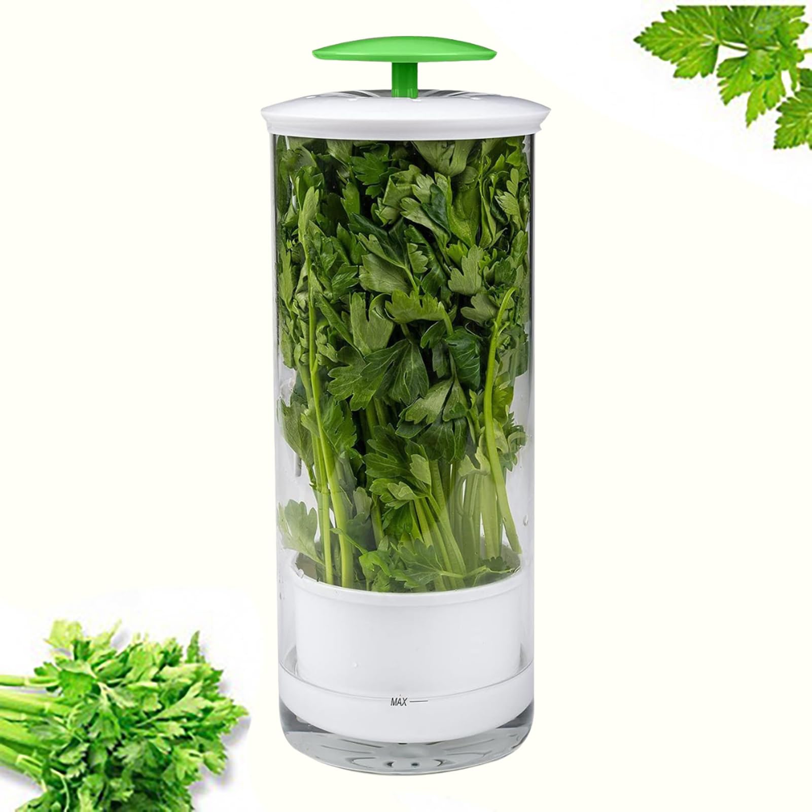 KSGSFSA High-quality Borosilicate Glass Storage Container Refrigerator Herb Crisper Storage Box for Cilantro, Parsley, Asparagus