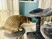 Review Image by Jessica G. Jessica G.