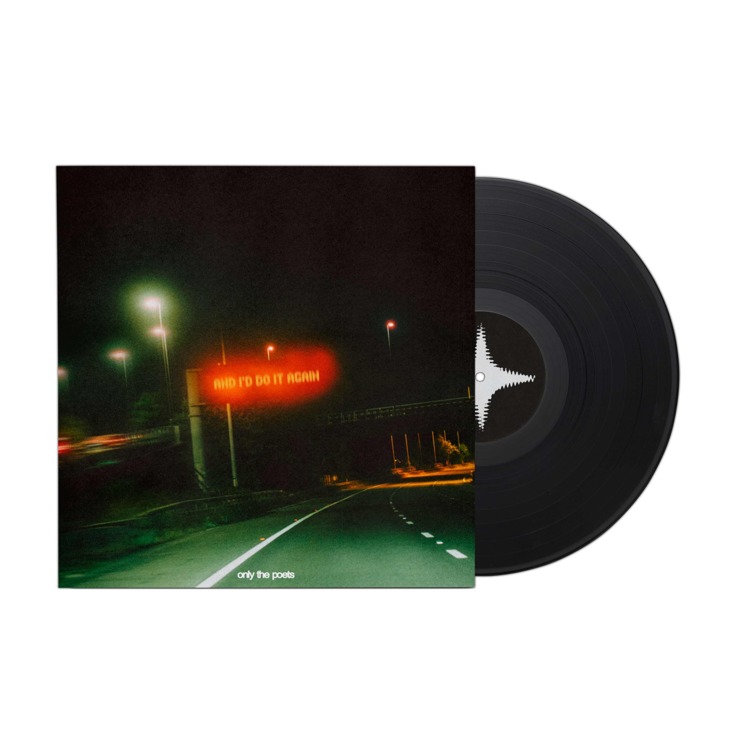 and i’d do it again [VINYL]