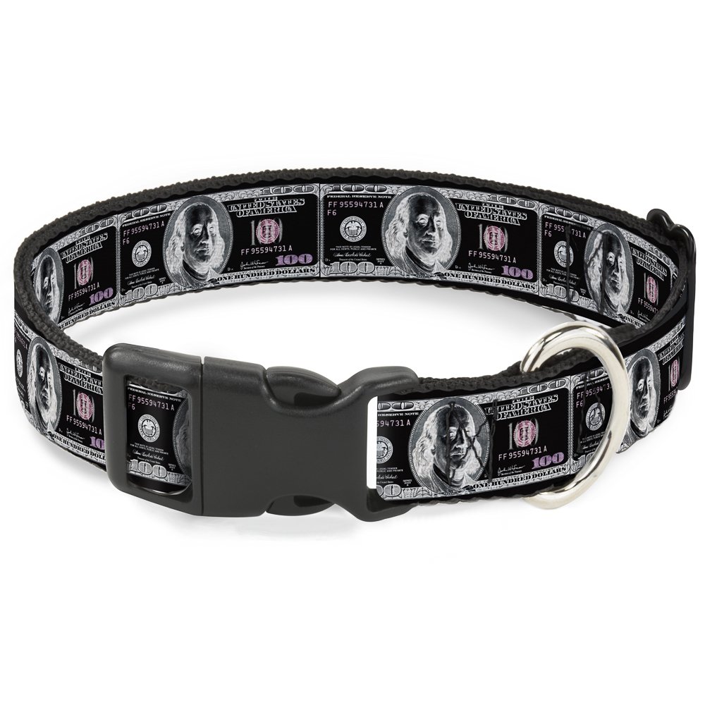Collier clip en plastique réglable pour petit chien cou 6-22,9 cm Buckle Down couleur argent