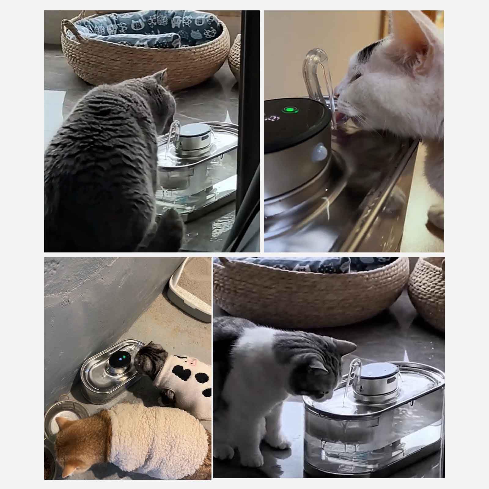 Stainless Steel Cat Fountain, Cat Faucet Water Fountain, 3L Wireless Pet Water Dispenser, Automatic Dog Water Dispenser for Drinking with Quiet Pump - image 7
