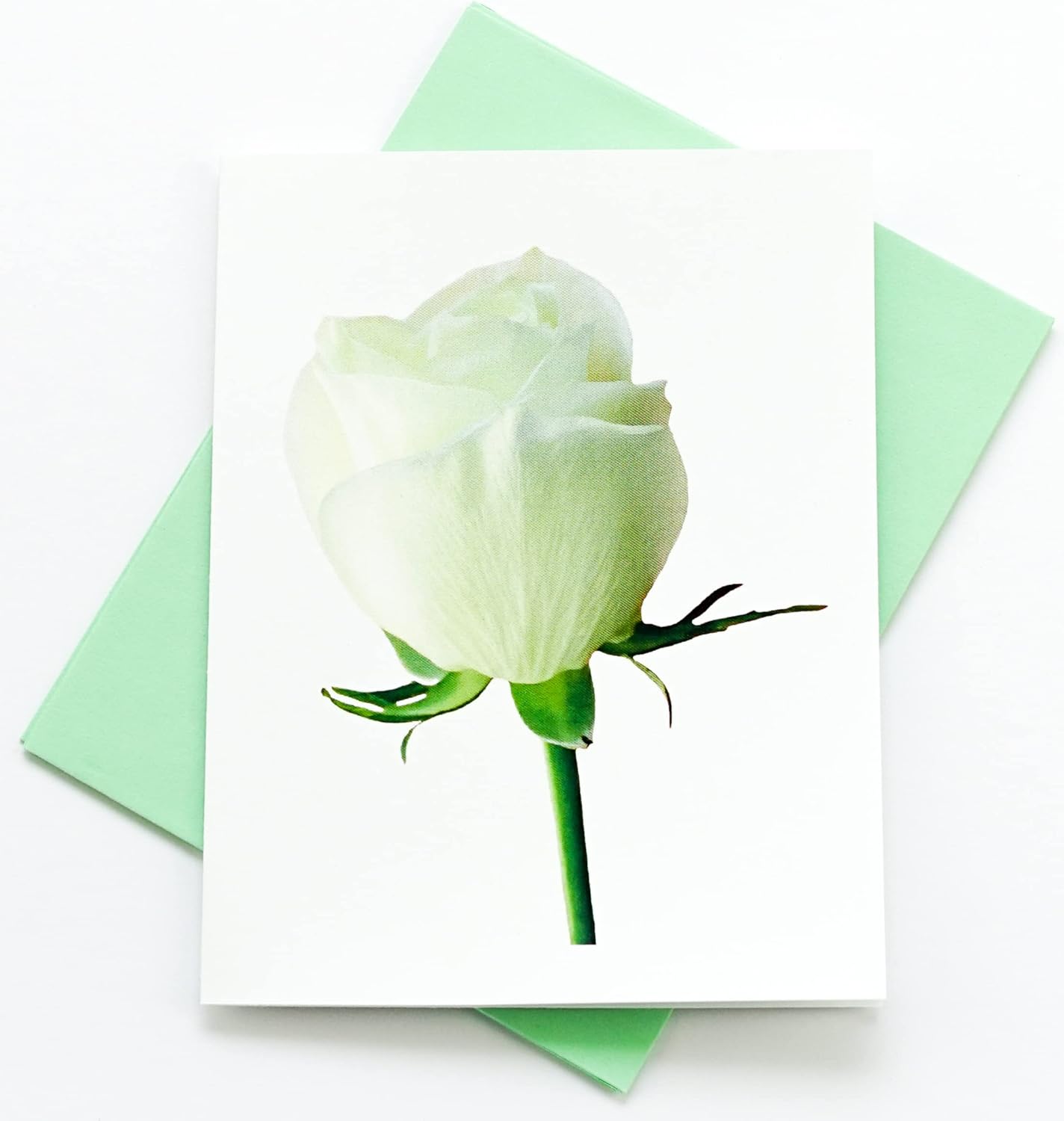 Blooming Roses Assorted High-End Photographic Heavy Smooth Note Cards 16 w/18 Colored Envelopes, Boxed Set (4.25"x 5.50") Blank Inside - Made in USA