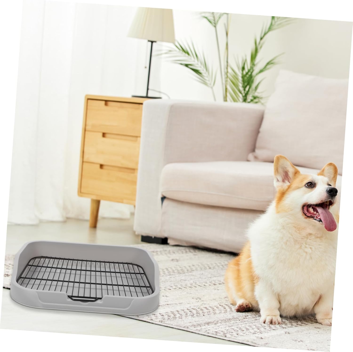 SUPVOX Dog Potty Tray for Indoor Toilet Training Durable and Iron Construction Easy to Clean Pee and Poop Tray for Small to Large Dogs for Home Use