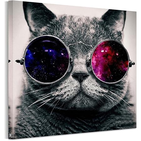 Amazon Co Jp アートパネル完成品 フォトフレーム 猫 かわいい インテリア 雑貨猫 壁キャンバス絵画 猫 インテリア 動物横50cm 縦50cm 1 ホーム キッチン Amazon Co Jp アートパネル完成品 フォトフレーム 猫 かわいい インテリア 雑貨猫 壁キャンバス絵画 猫 インテリア 動物横50cm 縦50cm 1 ホーム キッチン
