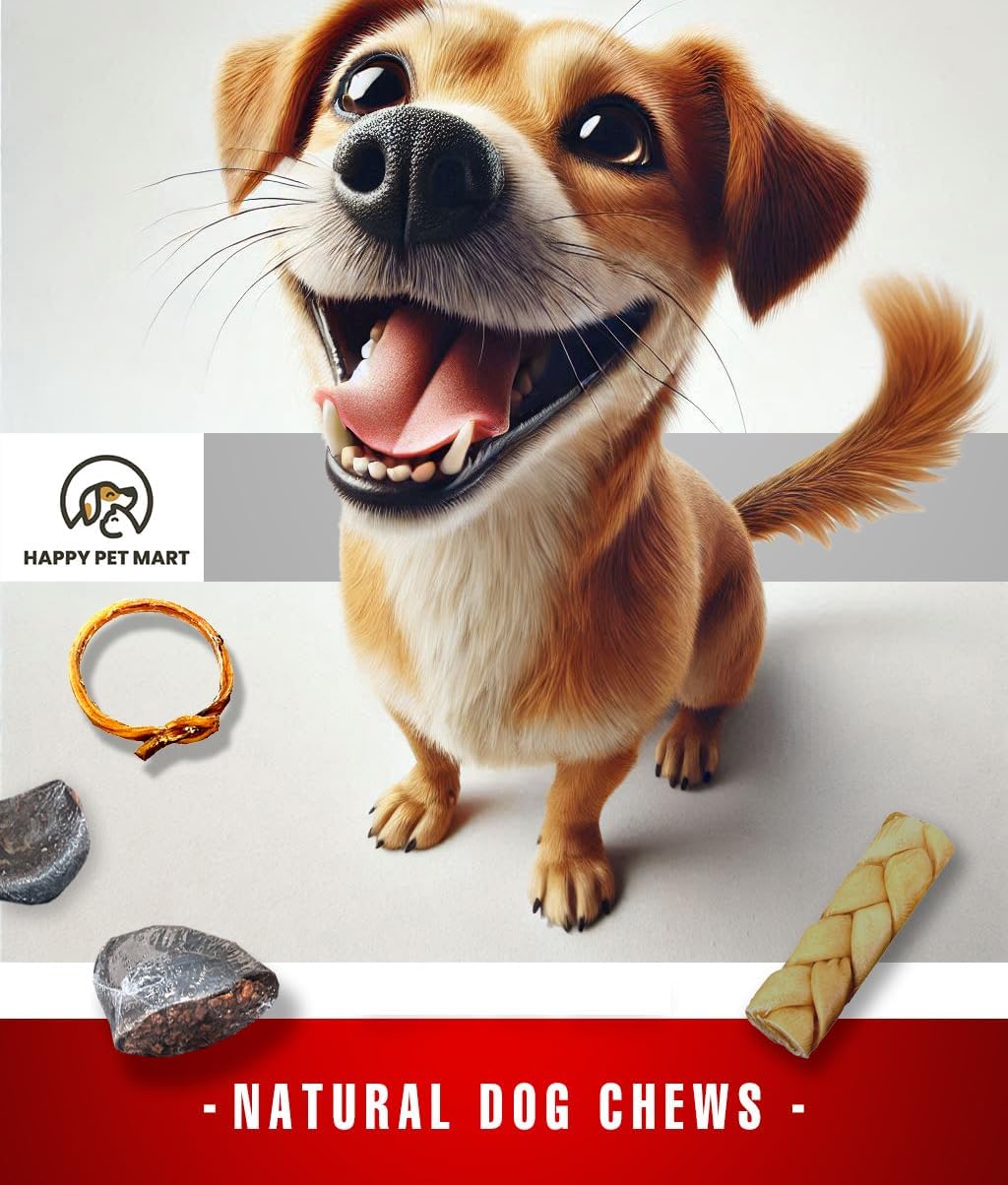 Customizable Dog Treat Pack | Build-Your-Own Dog Treat Box | Premium Natural Chews for Happy Pups! Bully Sticks, Collagen Chews & More!