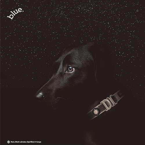 Miniatura 3 de Collar inteligente de lujo para perros con CloudTag de blue. (ópalo grande negro)