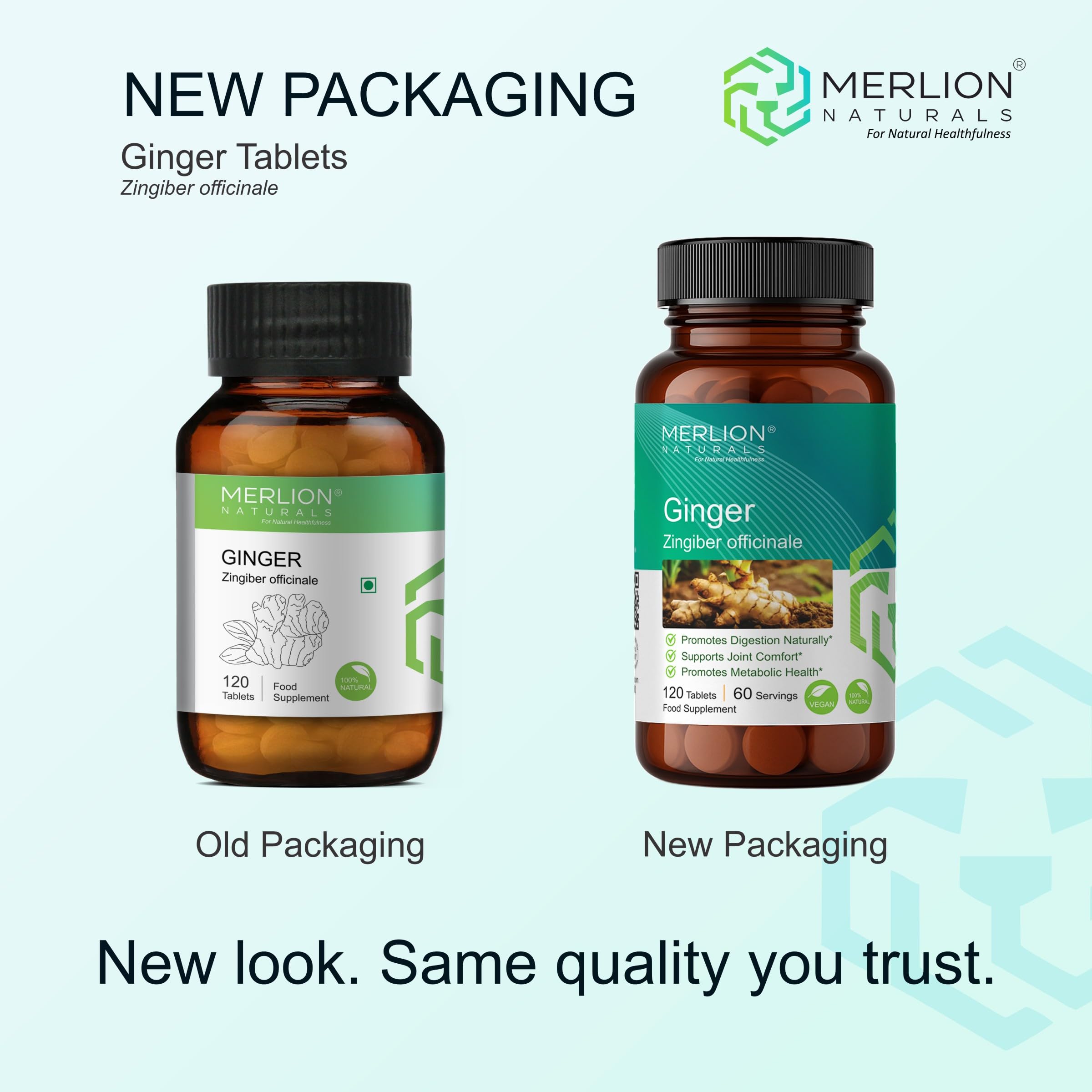 Merlion Naturals Ginger Tablets, Zingiber officinale, 500mg (120 Tablets) - Image 5 thumbnail