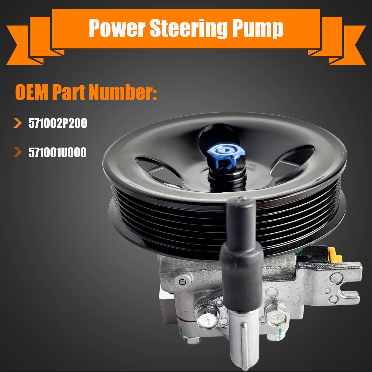 571002P200 Power Steering Pump with Pulley Fits for Hyundai Santa Fe 2.4L L4 2010-2012, Compatible for Kia Sorento 2.4L L4 2011-2013, Power Assit Pump with Pulley Replace OE# 571001U000, 571002P200