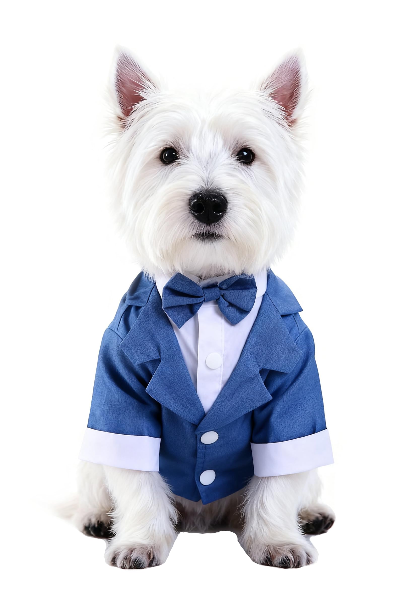Amazon.com : GabeFish Pets Wedding Jackets Suit for Dogs with Bow Tie Puppy  Cat Formal Clothes Shirt Tuxedo (Blue, S (Chest 12.9in/33cm) : Pet Supplies