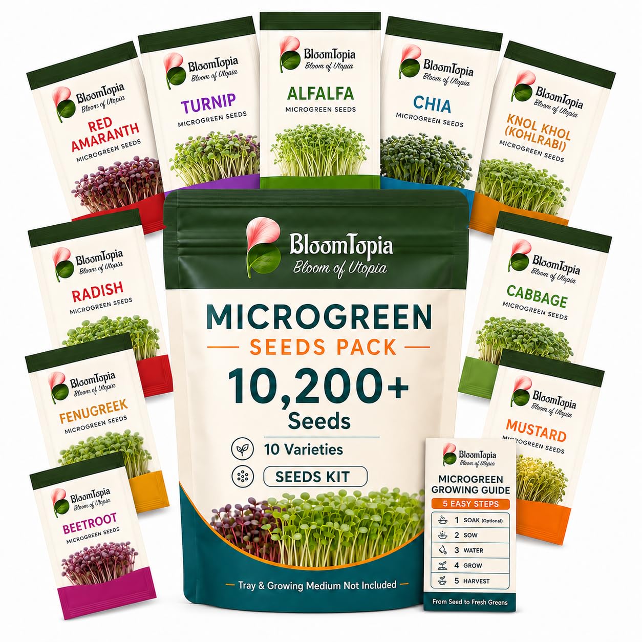 Microgreen Seeds Kit, 10 Varieties, Approx. 10,200 Seeds | 10 individually labelled varieties with a printed growing guide for salad-image-5