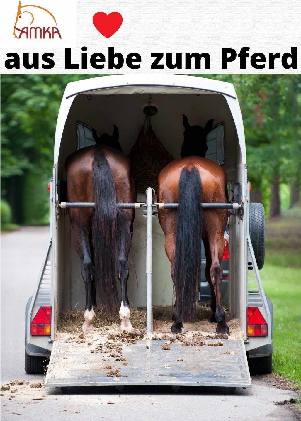 AMKA Transportgamaschen für Pferde 4er Set Travelboots, grün ***