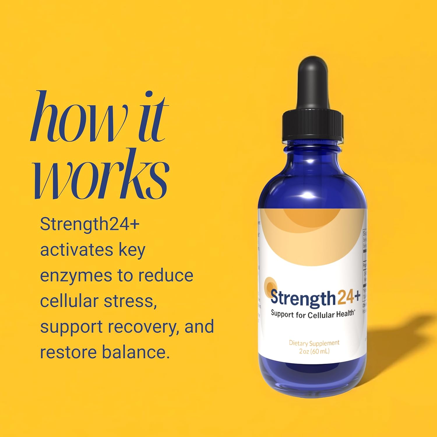 Strength24+ Vitality Drops, Bladder Control, Cellular Health & Energy Support, 60 Servings (1 Month Supply), with Jasmine Extract & Amino Acids, Promotes Muscle Recovery, Sleep Support, 2 Fl Oz - Image 2