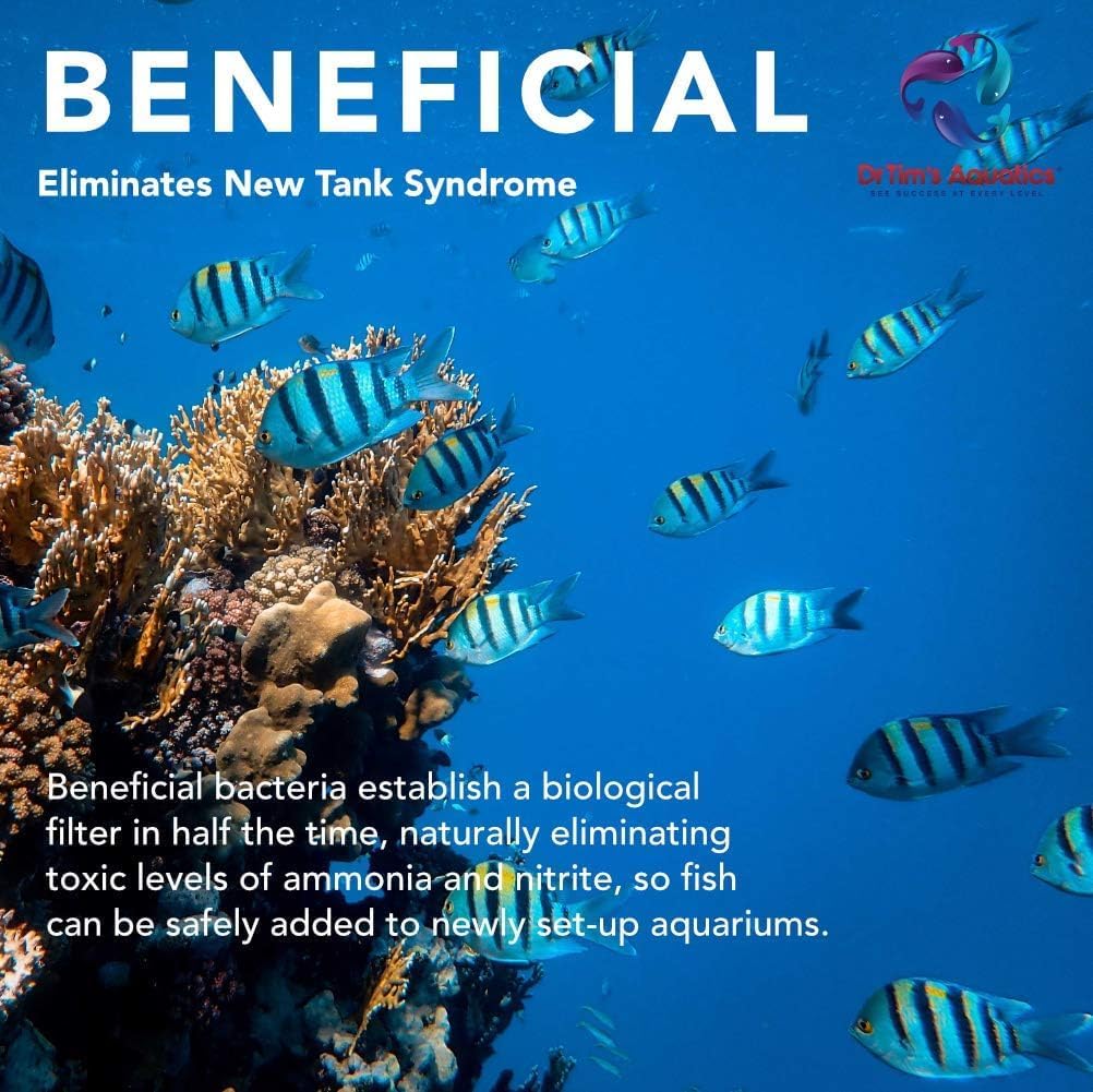 Dr. Tim’s Aquatics Saltwater One & Only Nitrifying Bacteria – For New Fish Tanks, Aquariums, Water Filtering, Disease Treatment – H20 Pure Fish Tank Cleaner – Removes Toxins – 128 Oz.