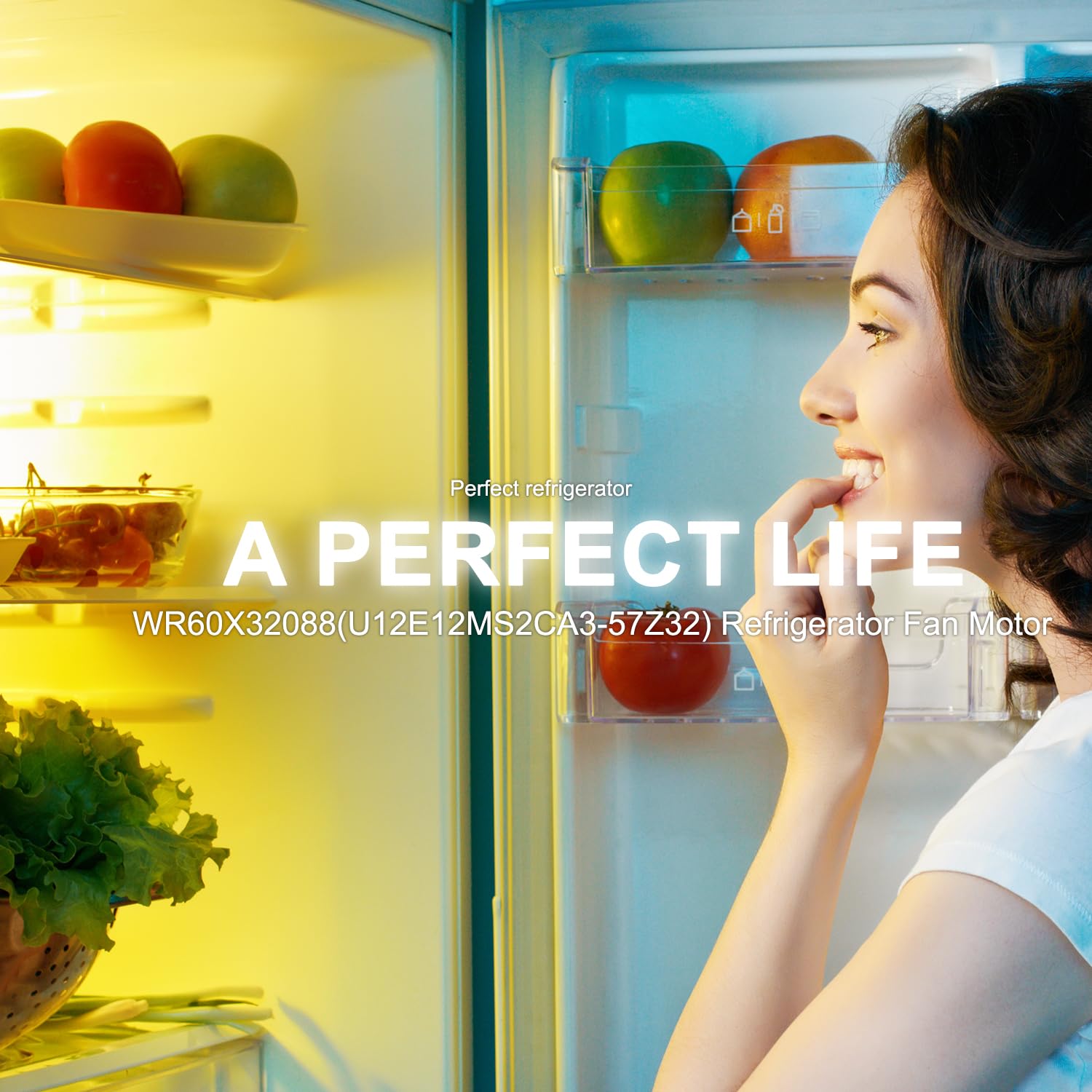 WR60X32088 Refrigerator Freezer Evaporator Fan Motor Replacement for GE Parts U12E12MS2CA3-57Z32, PVD28BYNFS CVE28DM5NS5 CVE28DP2NS1 CVE28DP3ND1 CVE28DP4NW2 CXE22DM5PS5 CXE22DP3PD1 PGD29BYTFS