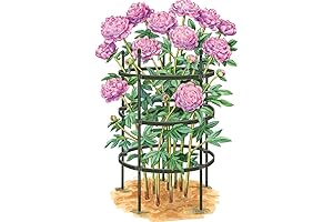 Essex Plant Support with Unparalleled Durability and Protection