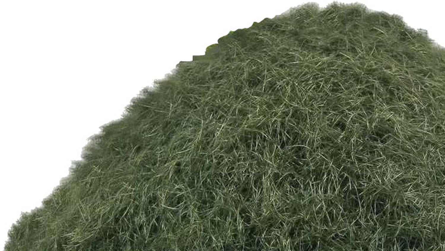 Amazon.com: Green Stuff World Static Grass Flock 9-12mm - Country