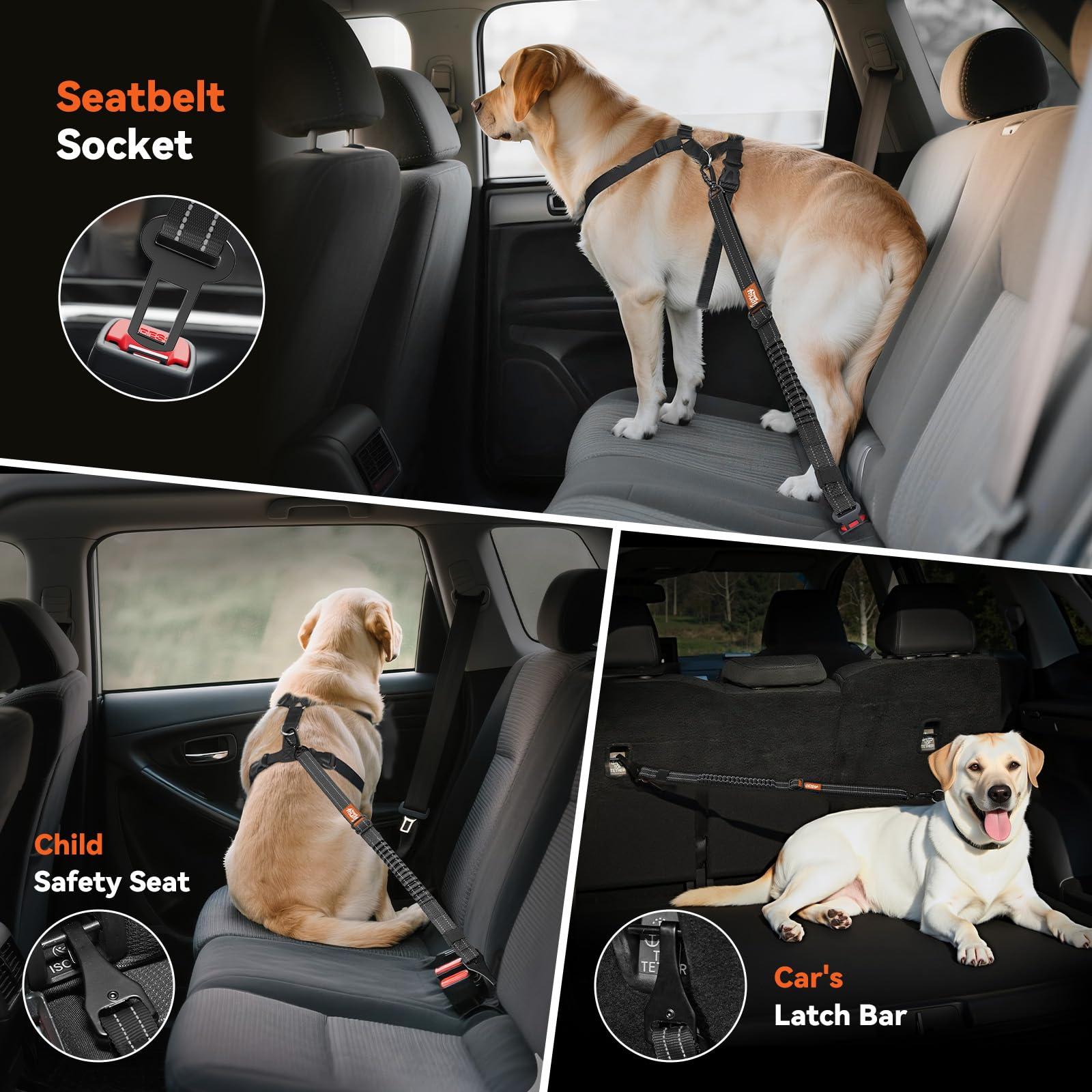 2 pezzi Cinture di Sicurezza per Cani Auto, Guinzaglio Elastico Regolabile con Moschettone e Gancio, Pettorina da Auto Riflettente con Chiusura Rotante a 360° per Animali, Nero