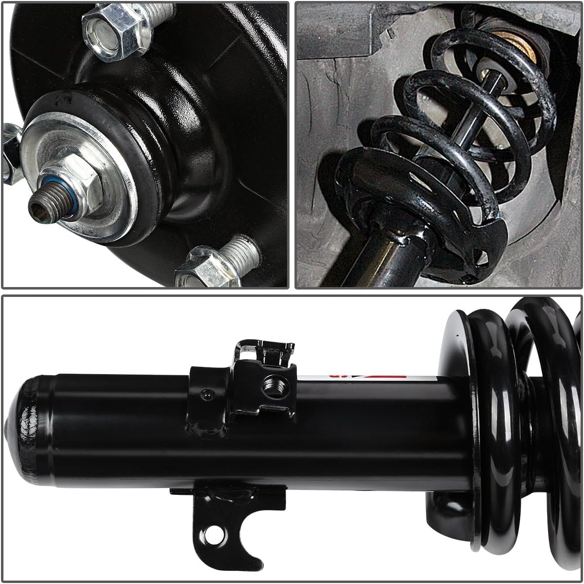 Auto Dynasty Front Struts Shocks Assembly and Coil Spring Compatible with 1994-1997 Honda Accord 5th Gen, Left and Right Complete Pair Shock Absorber 171989 181989