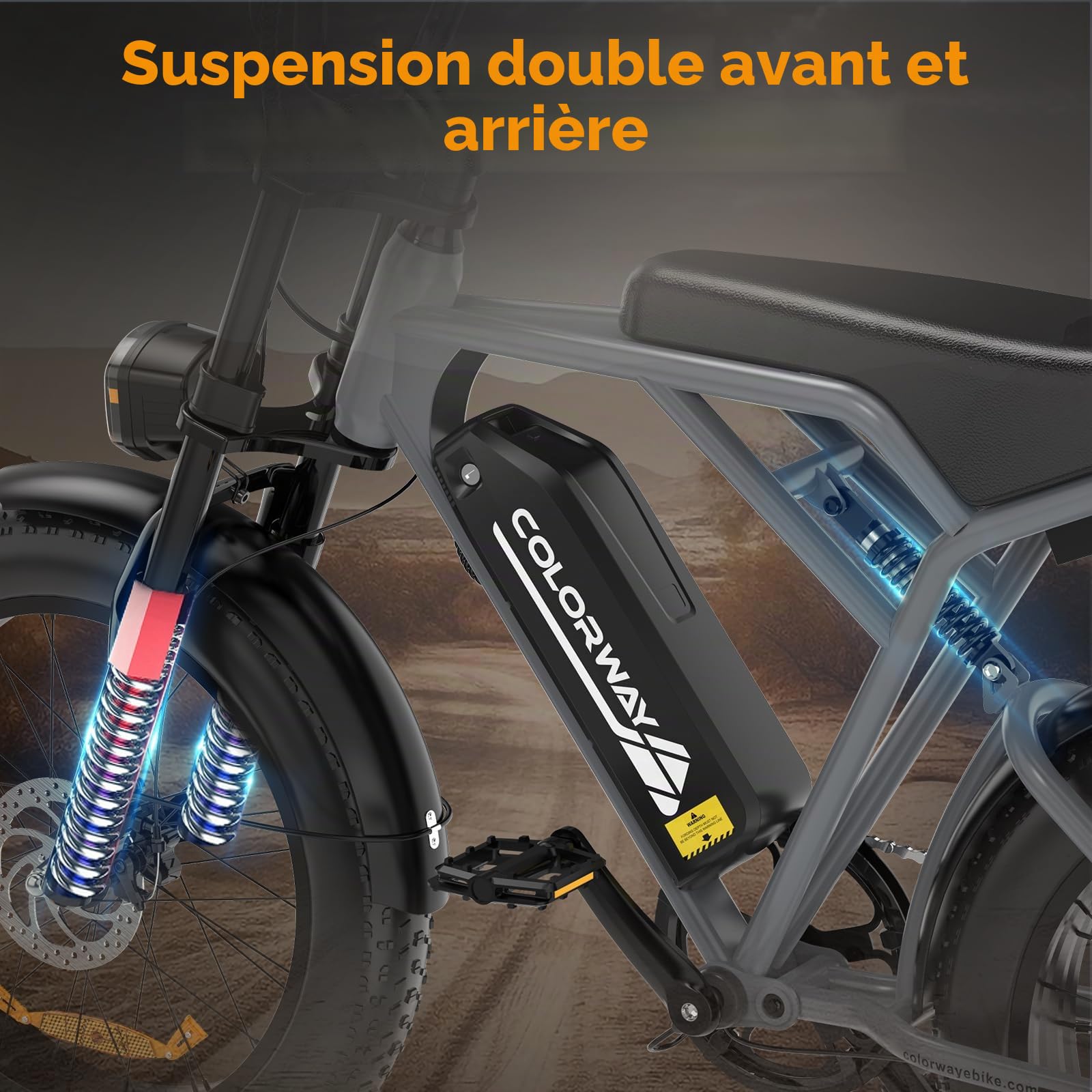 COLORWAYVélo Électrique Adulte Homme 20 Pouces Fat Tire 250W, EBike Homme Puissant Tout Terrain,Pedelec 36V/48V avec Batterie Amovible Grande Autonomie,Double Frein à Disque et Écran LCD Intelligent