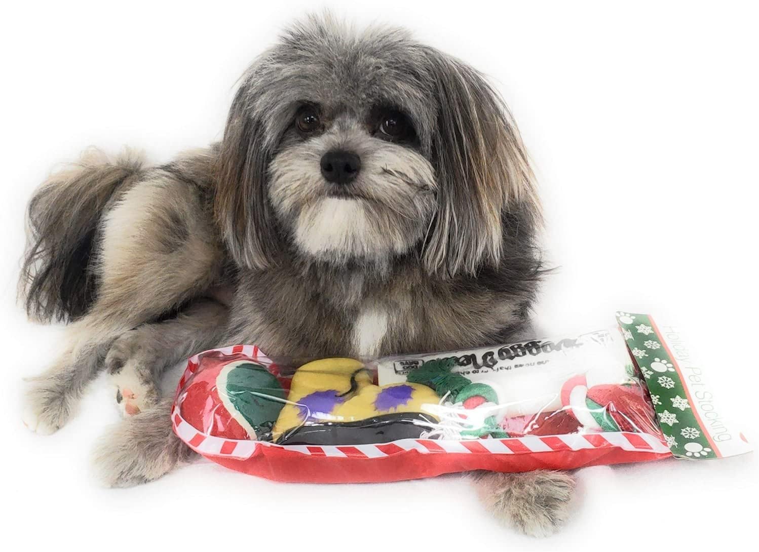 Christmas Stocking for Dogs. Pack of 2. Squeaky newspaper toy, squeaky boot toy, a red, green and white tennis ball and a red, white and green cotton knotted rope.