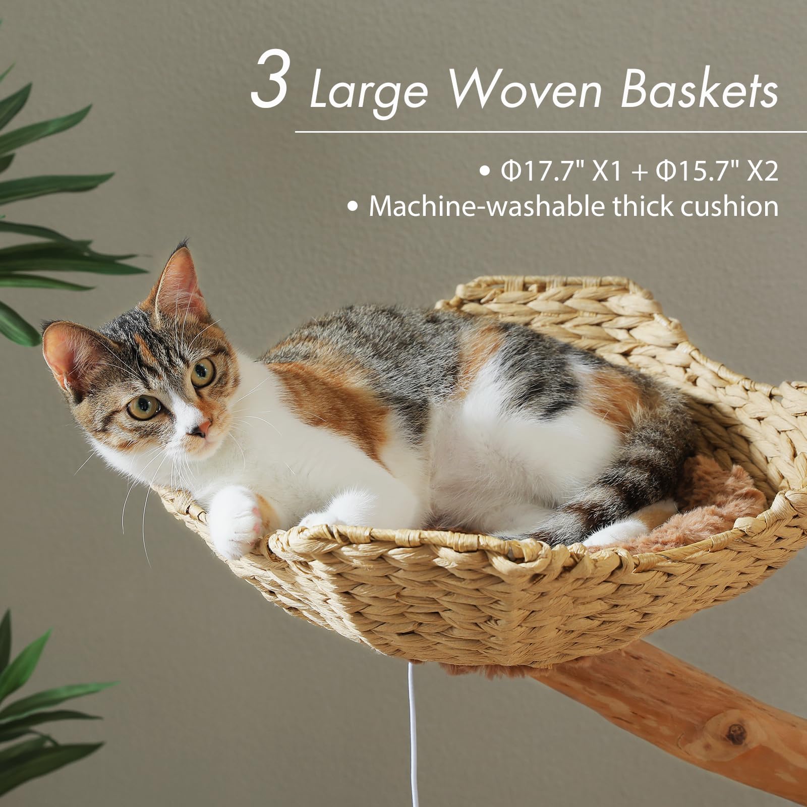 PAWZ Road Cat Tree for Indoor Cats Large Adults, 59 Inches Modern Cat Tower with 3 Large Baskets, Natural Solid Wood, Luxury Condo and Hammock, Modern Furniture for Big Cats, Brown - image 4