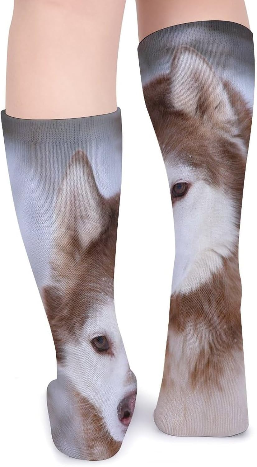 Siberian Husky Knee High Socks Casual Long Stockings Over Calf Sock Tube for Women Men