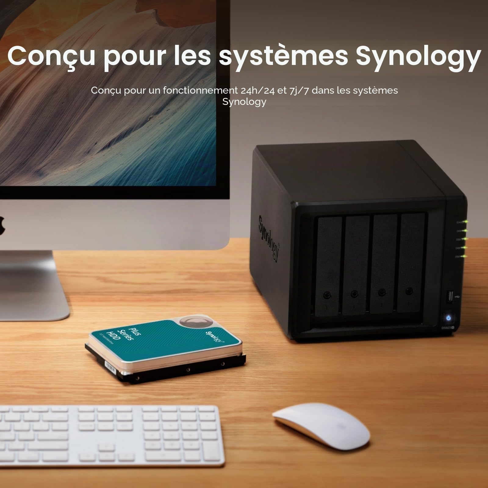 Synology HAT3300-2T HDD de 2 to