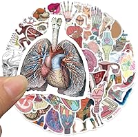 Vista 5 de Anatomy Pun Stickers Human Anatomy Sticker Water Bottle Stickers for Teens Waterproof Vinyl(50Pcs)